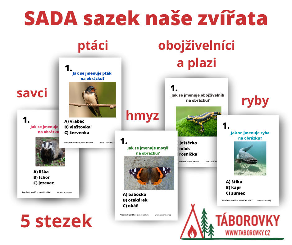 Krátké rychlé stezky pro děti